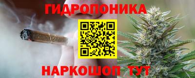 стаф Краснокаменск