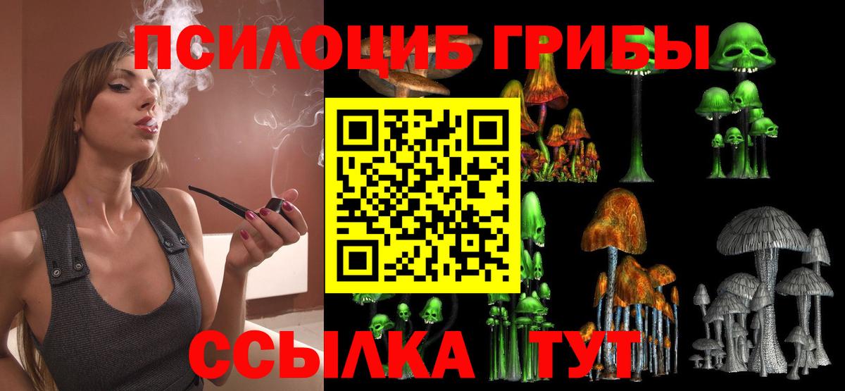 Галлюциногенные грибы MAGIC MUSHROOMS Фрязино
